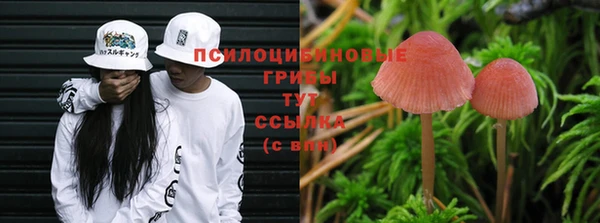 кокаин перу Аркадак