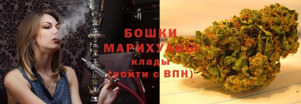 спайс Няндома