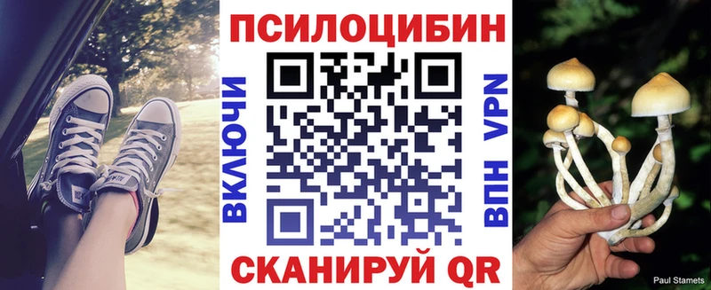 Псилоцибиновые грибы прущие грибы  Темрюк 
